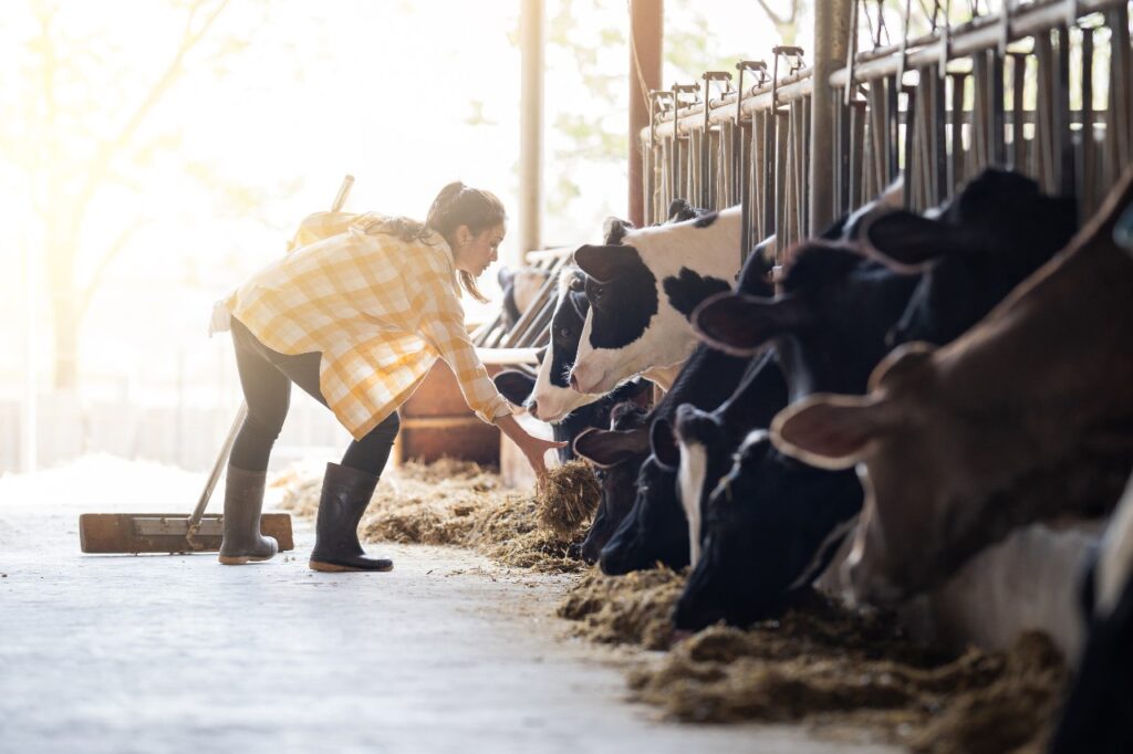 Animal Nutrition – Milk Specialties Global