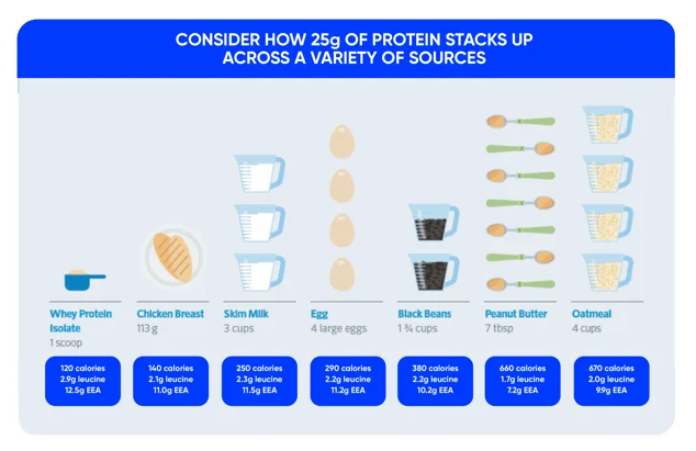 Protein: Back to Basics – Milk Specialties Global